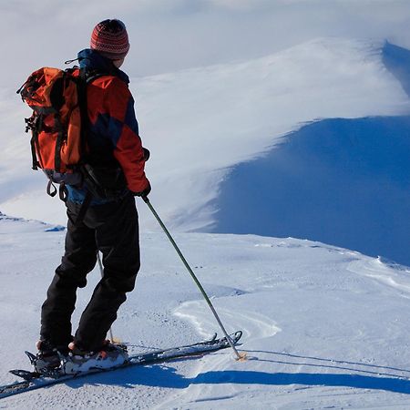 Arctic Panorama Lodge Uløybukta المظهر الخارجي الصورة