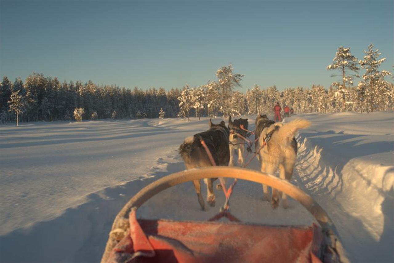 Arctic Panorama Lodge Uløybukta المظهر الخارجي الصورة