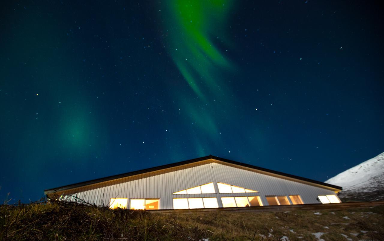 Arctic Panorama Lodge Uløybukta المظهر الخارجي الصورة