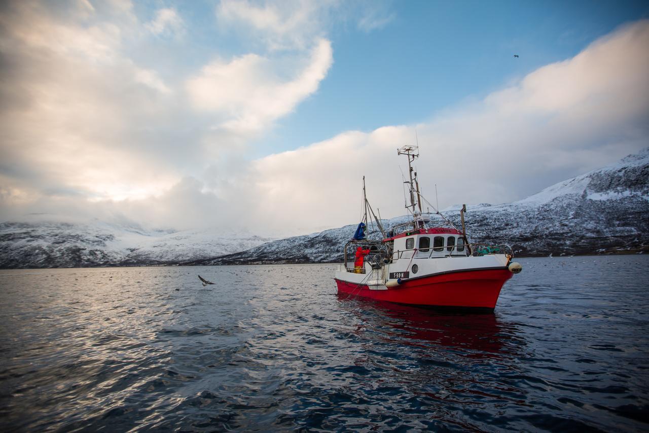 Arctic Panorama Lodge Uløybukta المظهر الخارجي الصورة