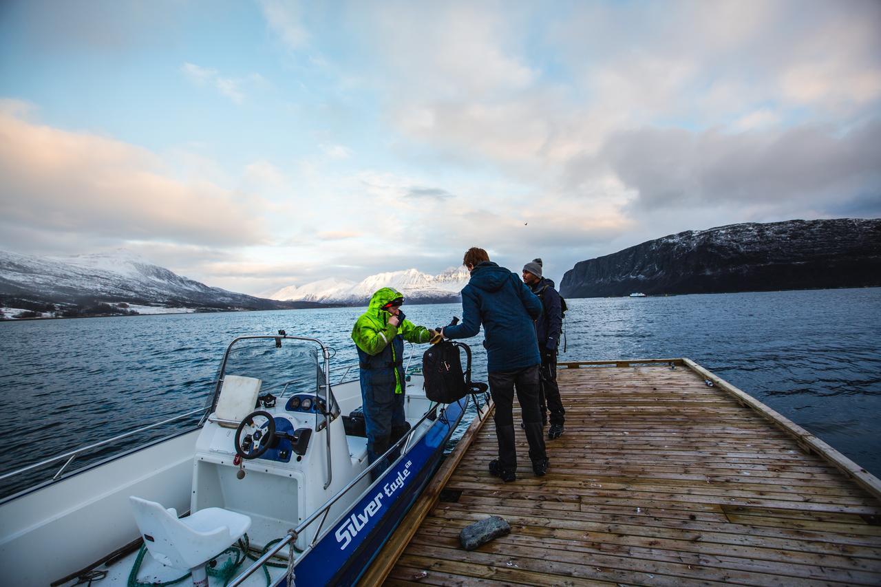 Arctic Panorama Lodge Uløybukta المظهر الخارجي الصورة