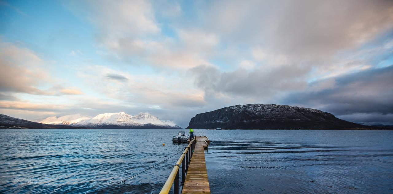 Arctic Panorama Lodge Uløybukta المظهر الخارجي الصورة