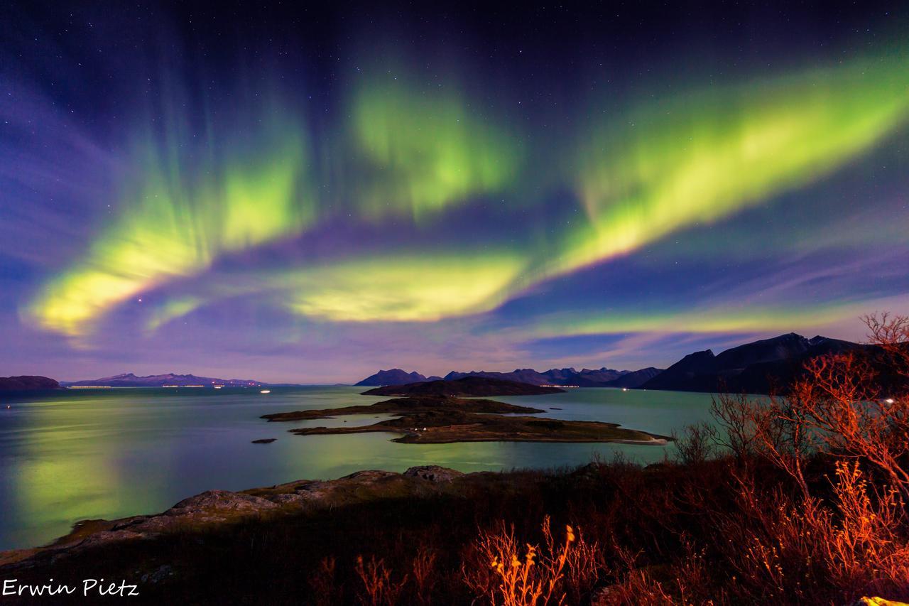 Arctic Panorama Lodge Uløybukta المظهر الخارجي الصورة